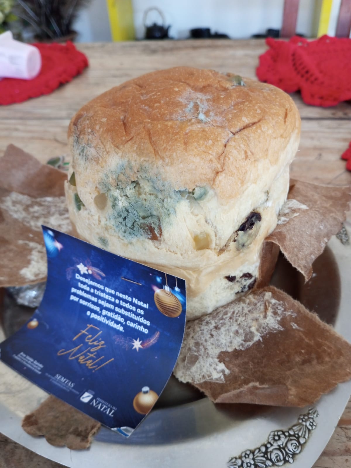 Anvisa manda recolher panetones com fungo